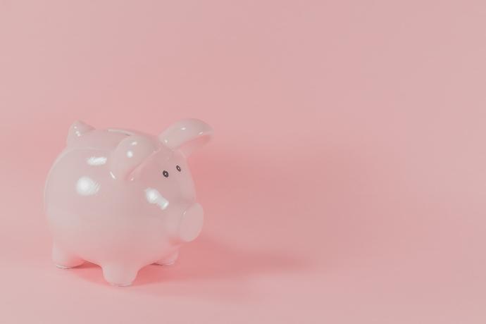 pink ceramic pig coin bank
